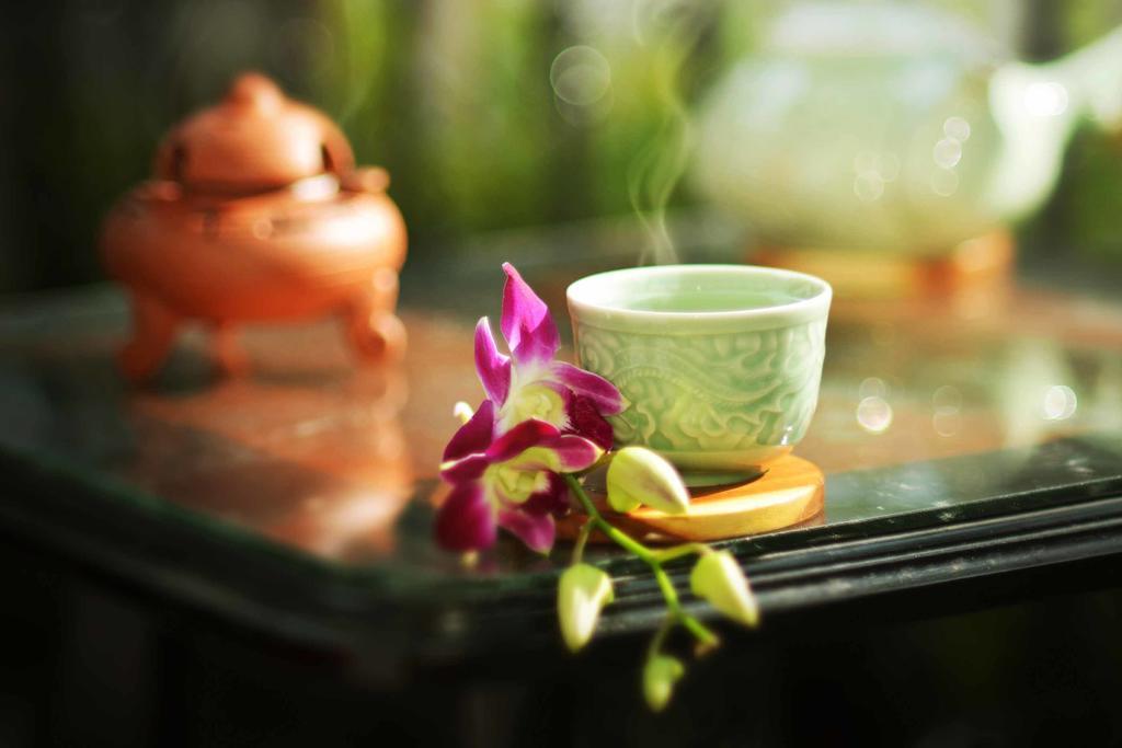 Rice Village Homestay Hoi An Eksteriør bilde