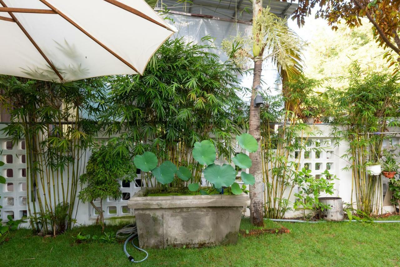 Rice Village Homestay Hoi An Eksteriør bilde